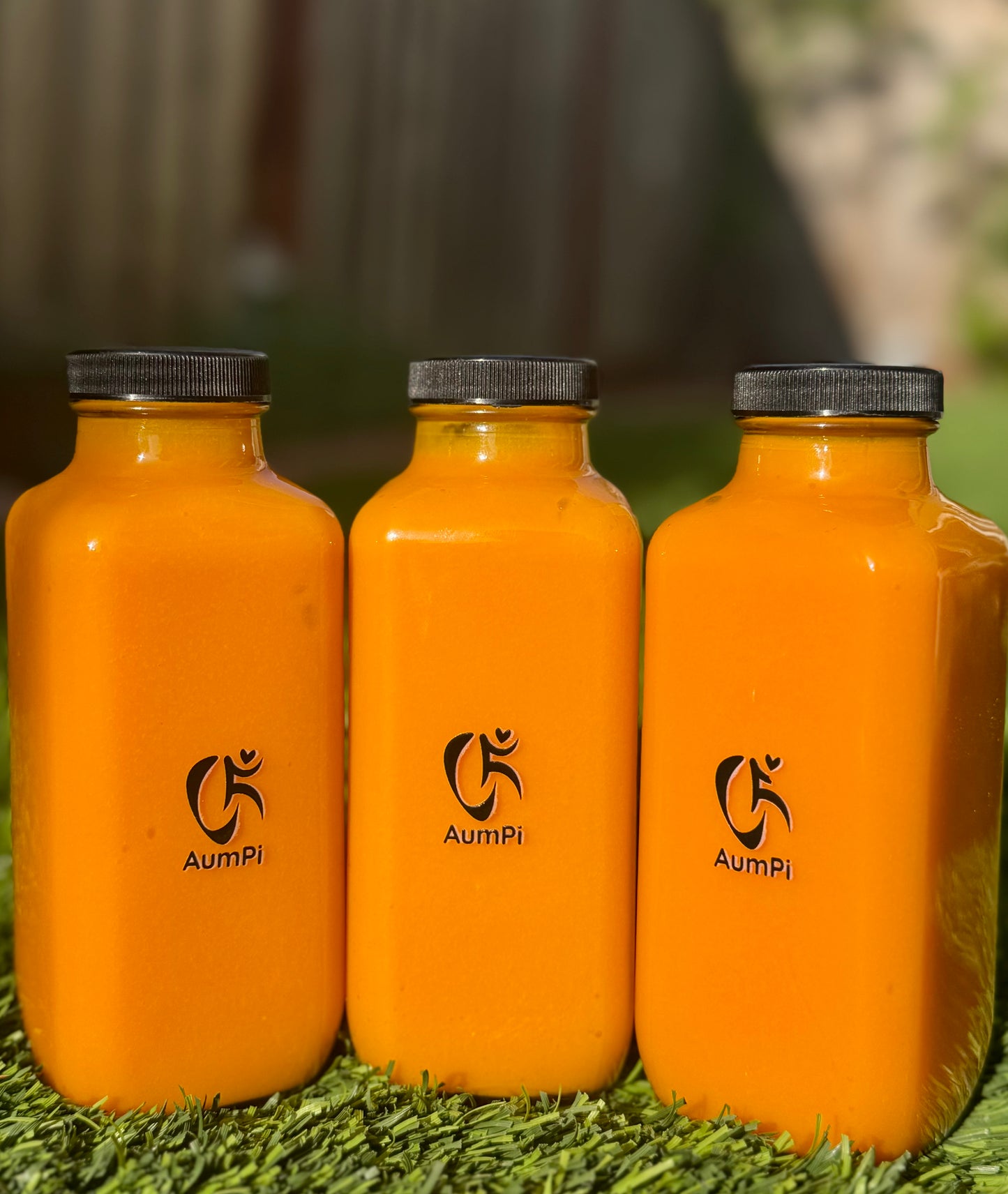 Kesar Mango Pulp 48oz
