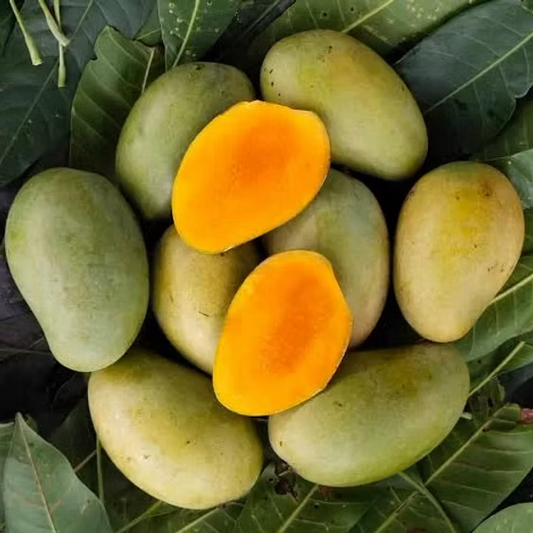 Amrapali