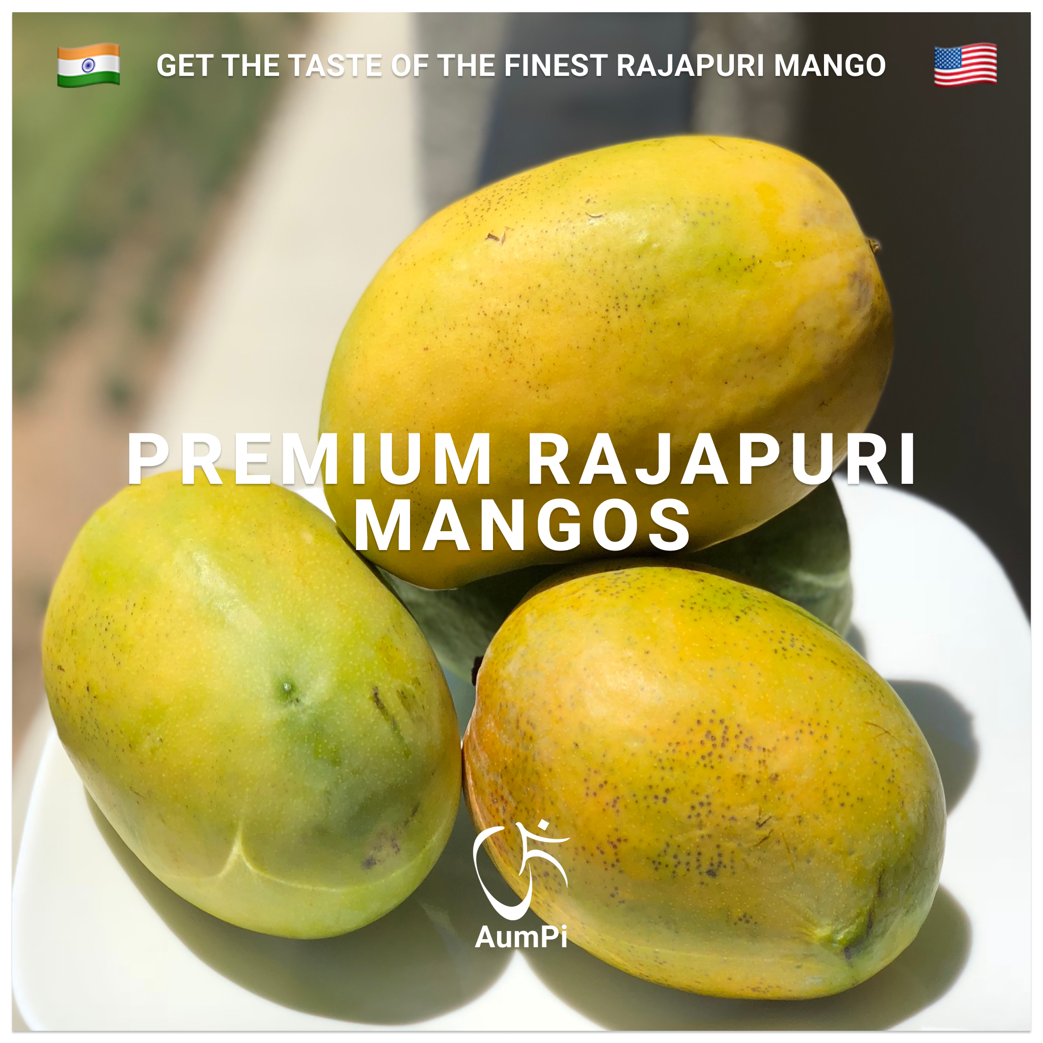 Types Of Mangoes With Names